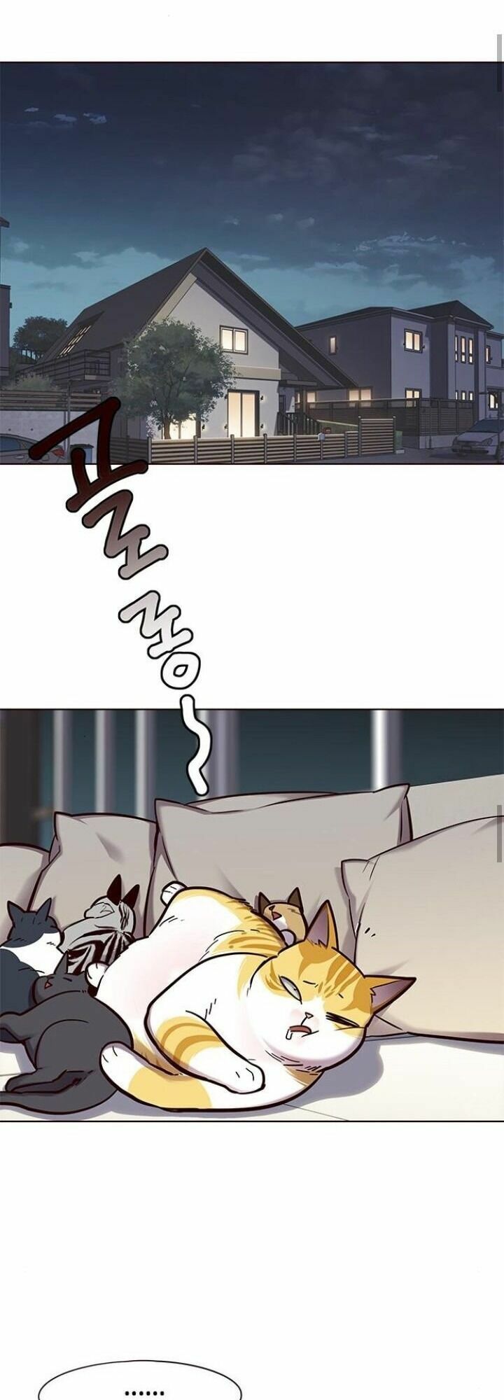 Hoá Thân Thành Mèo: Chapter 125