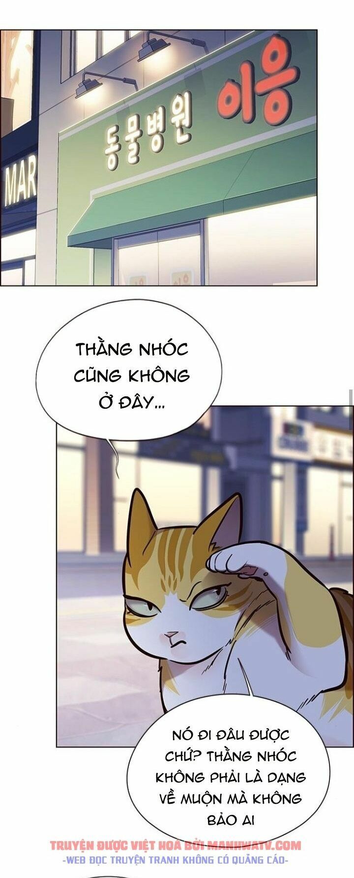 Hoá Thân Thành Mèo: Chapter 125