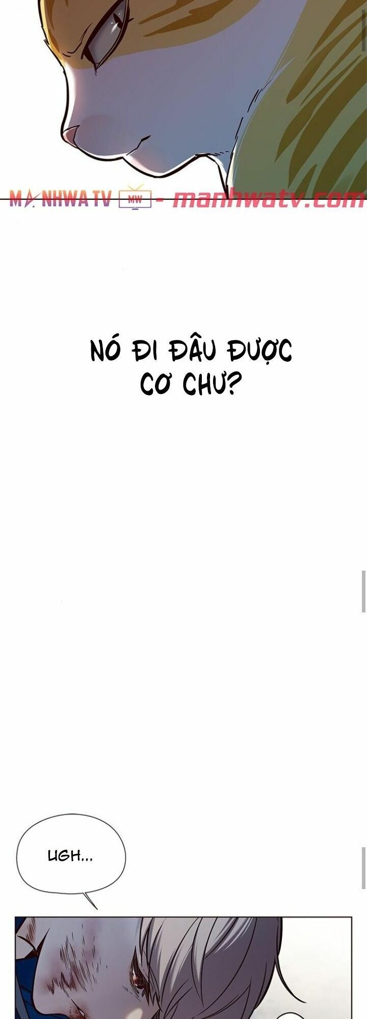 Hoá Thân Thành Mèo: Chapter 125