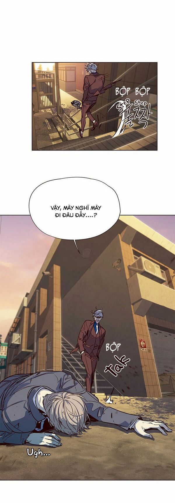 Hoá Thân Thành Mèo: Chapter 13