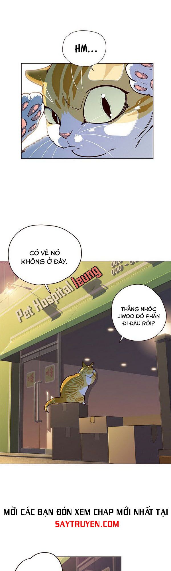Hoá Thân Thành Mèo: Chapter 13
