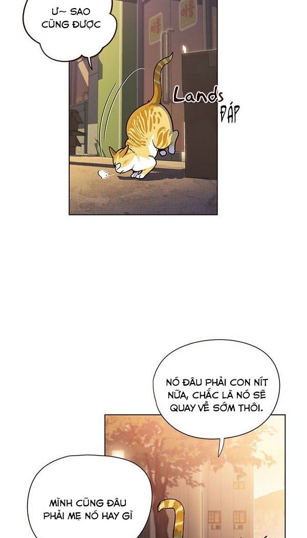 Hoá Thân Thành Mèo: Chapter 13