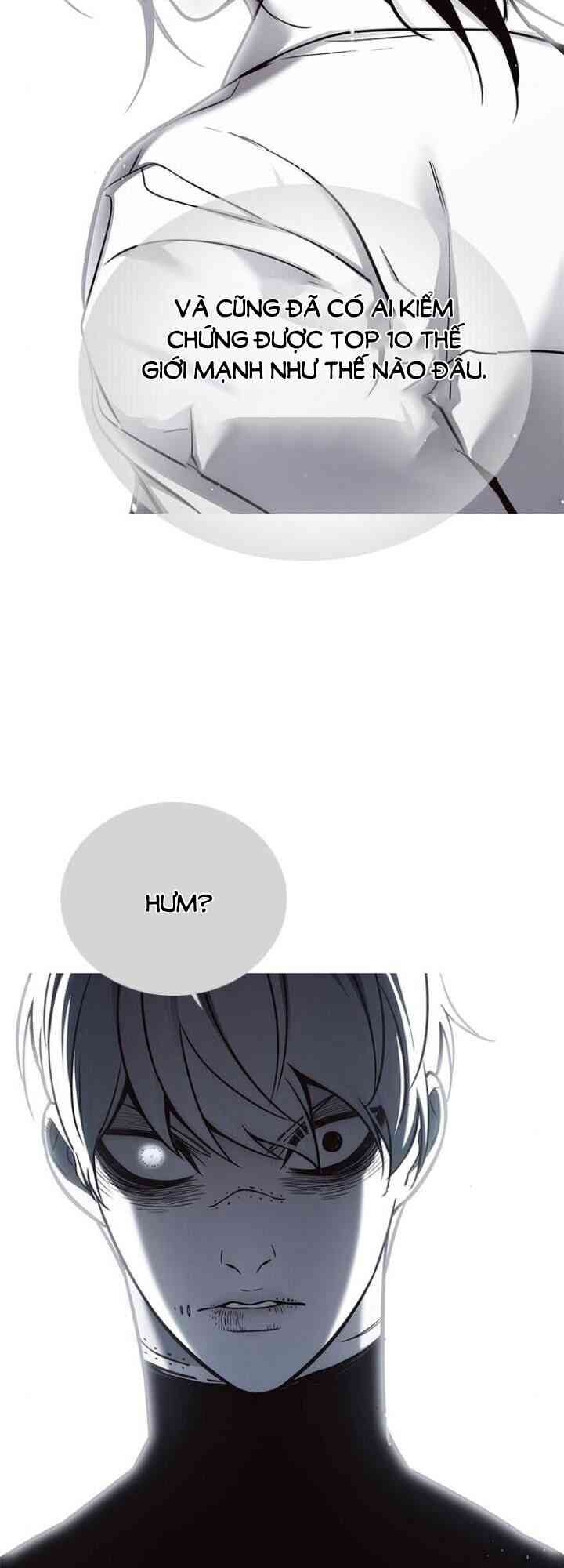 Hoá Thân Thành Mèo: Chapter 132