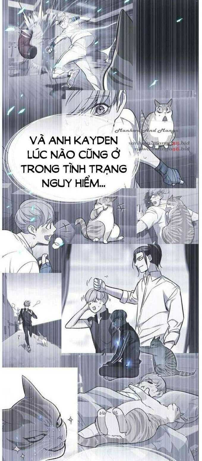 Hoá Thân Thành Mèo: Chapter 137