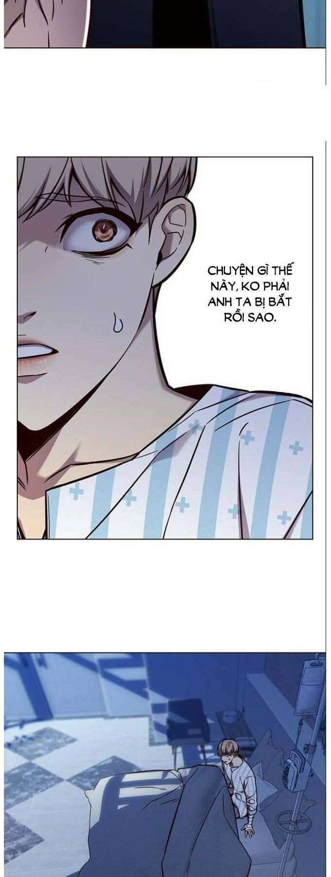 Hoá Thân Thành Mèo: Chapter 137
