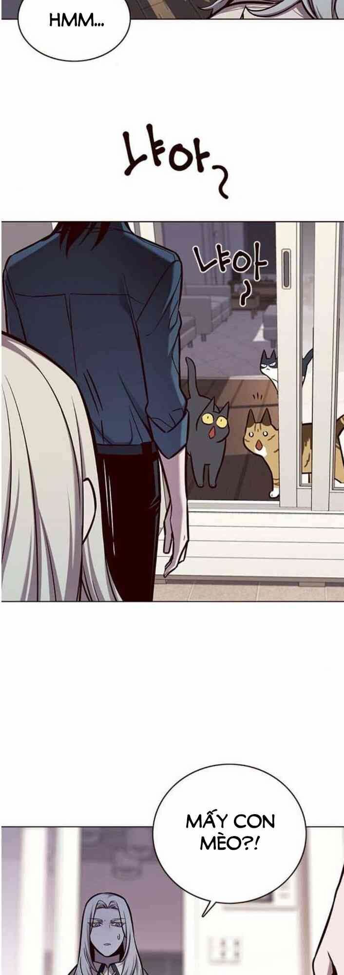 Hoá Thân Thành Mèo: Chapter 138