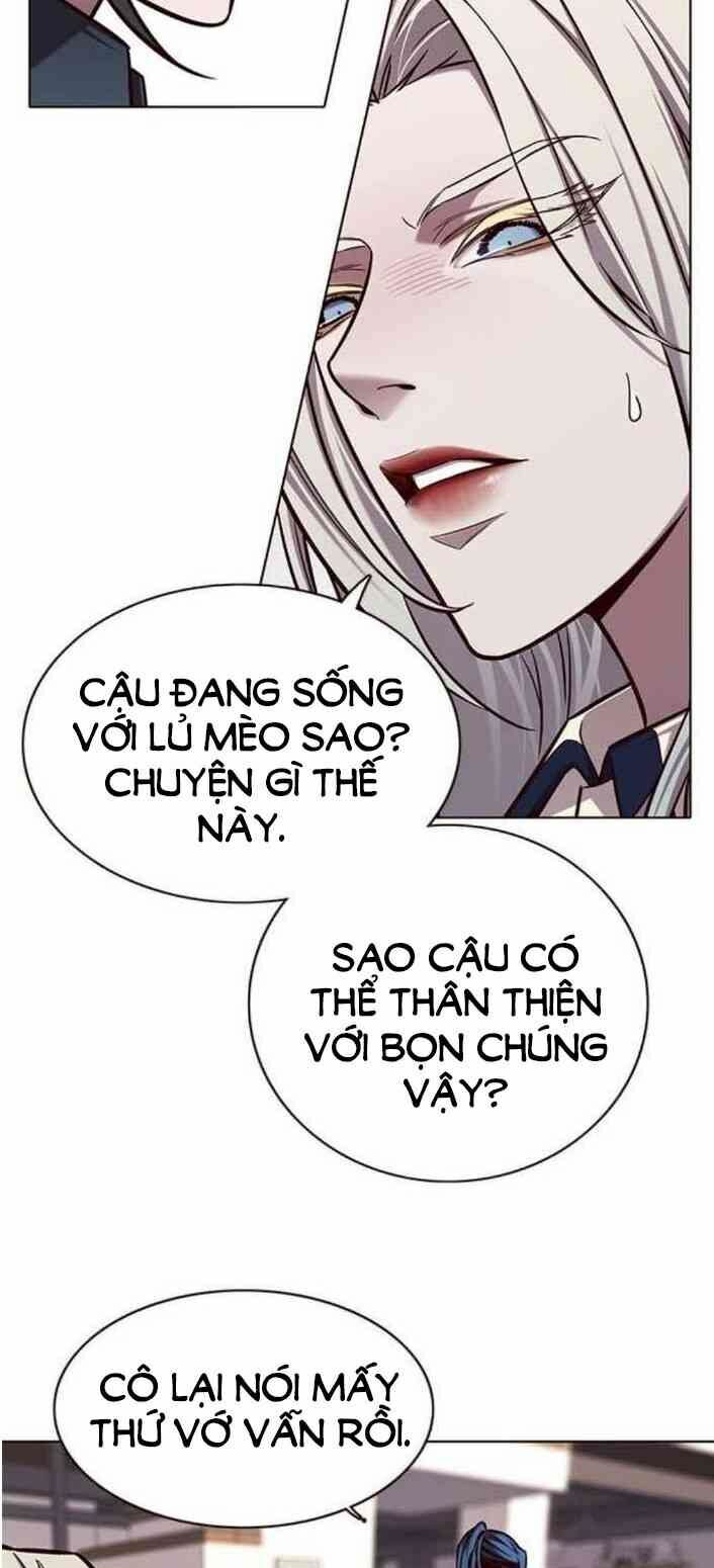 Hoá Thân Thành Mèo: Chapter 138