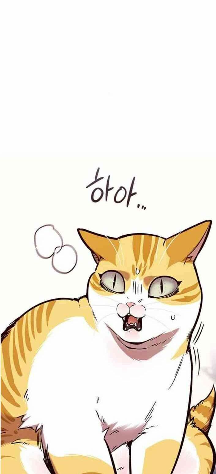 Hoá Thân Thành Mèo: Chapter 138