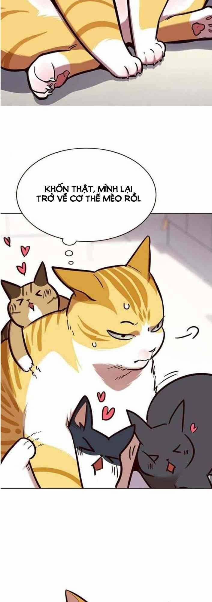 Hoá Thân Thành Mèo: Chapter 138