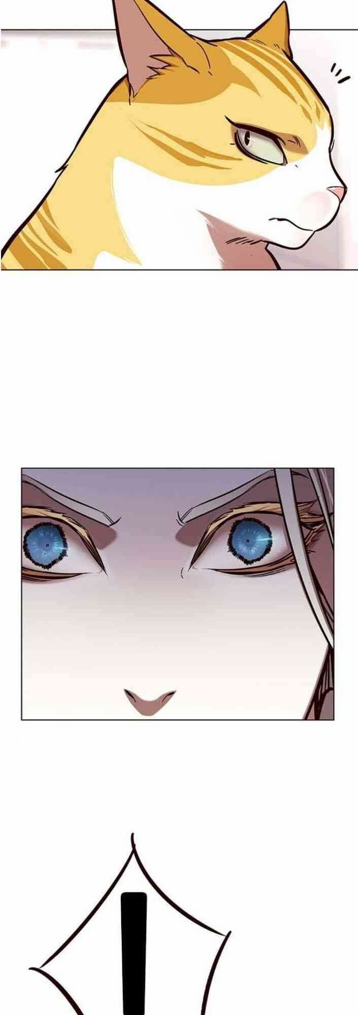 Hoá Thân Thành Mèo: Chapter 138