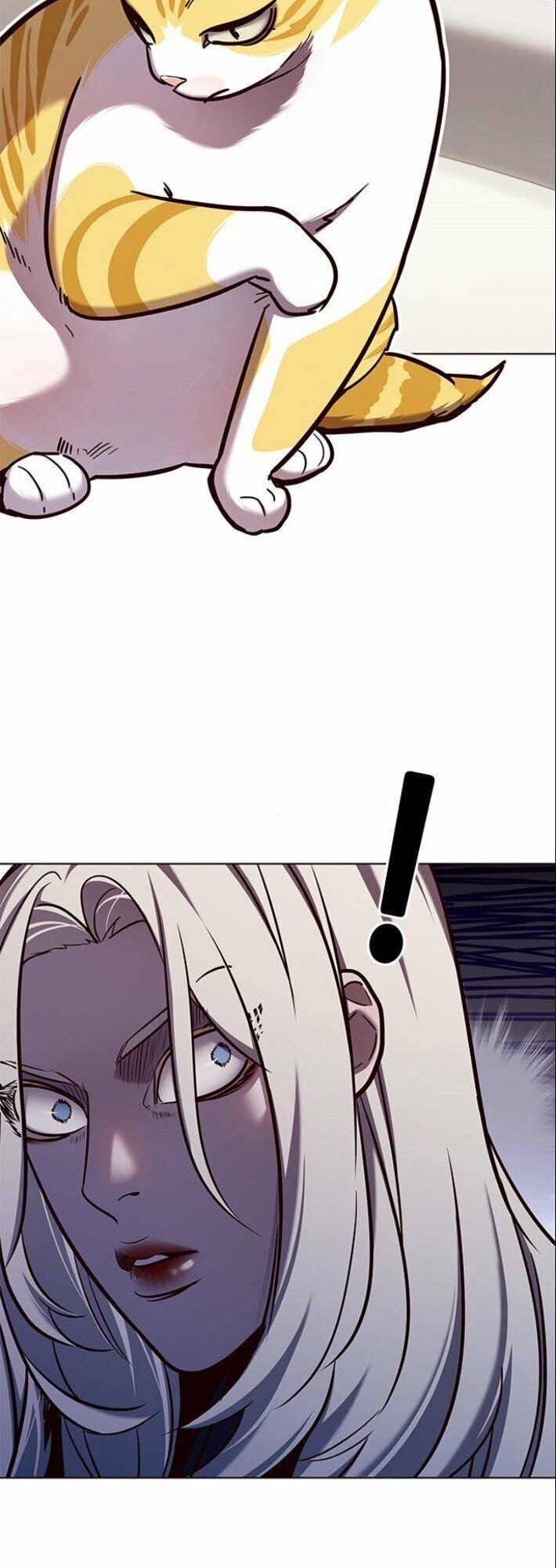 Hoá Thân Thành Mèo: Chapter 139