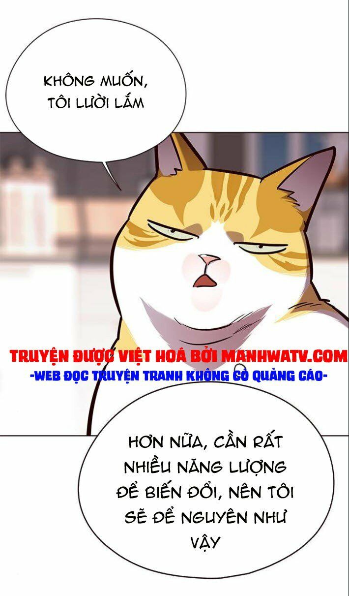 Hoá Thân Thành Mèo: Chapter 139