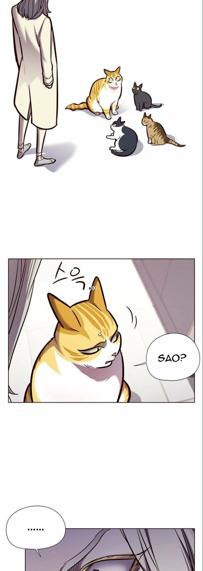 Hoá Thân Thành Mèo: Chapter 139