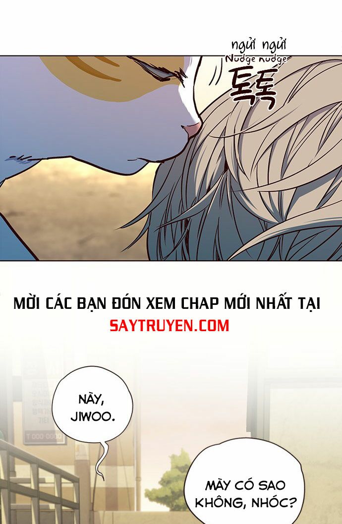 Hoá Thân Thành Mèo: Chapter 14