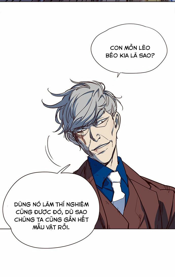 Hoá Thân Thành Mèo: Chapter 14