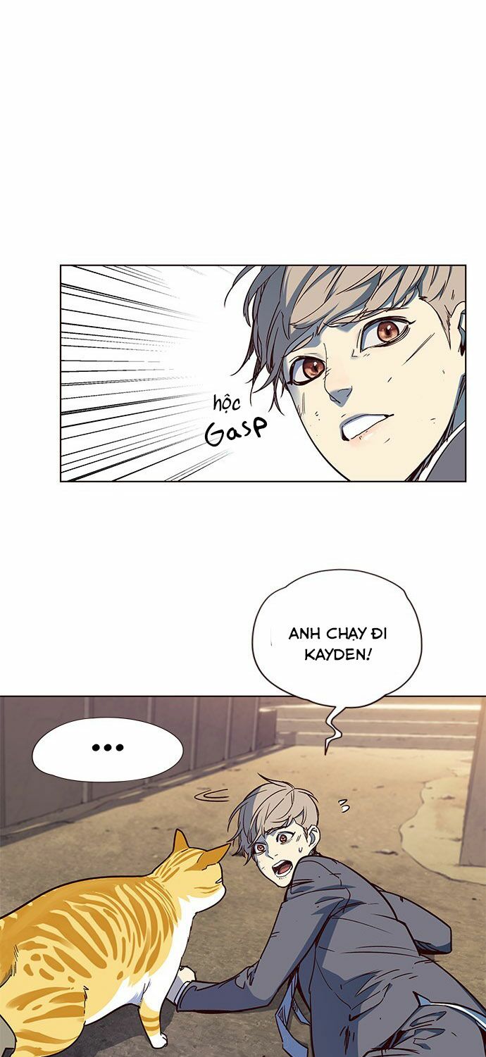Hoá Thân Thành Mèo: Chapter 14