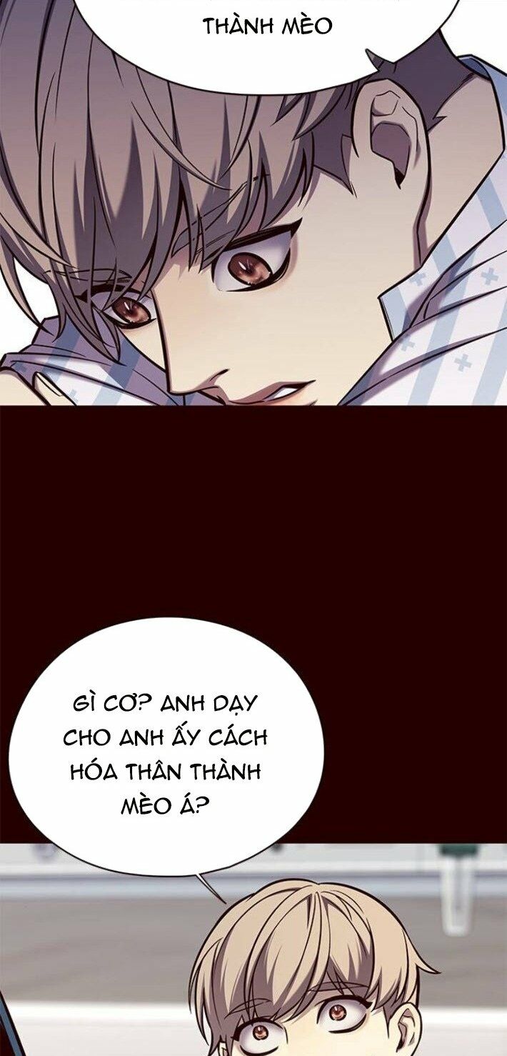 Hoá Thân Thành Mèo: Chapter 141