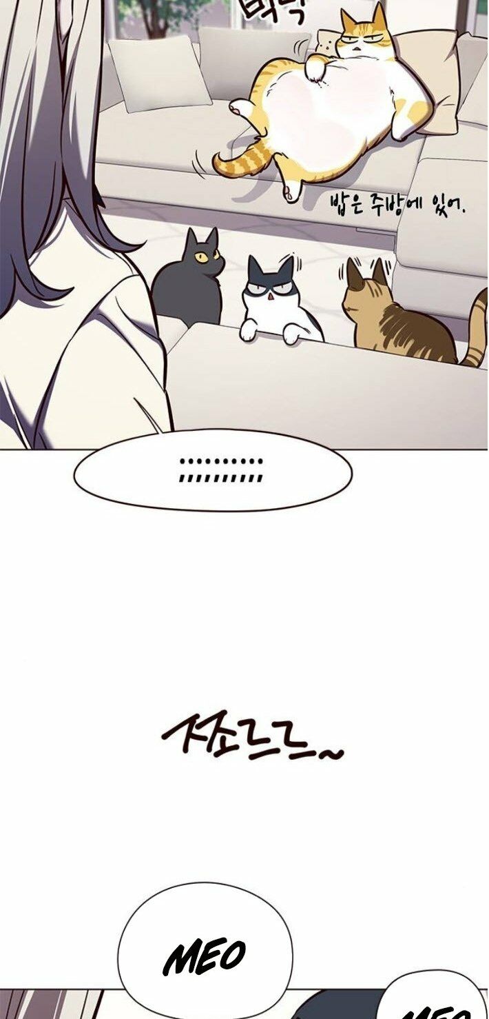 Hoá Thân Thành Mèo: Chapter 141