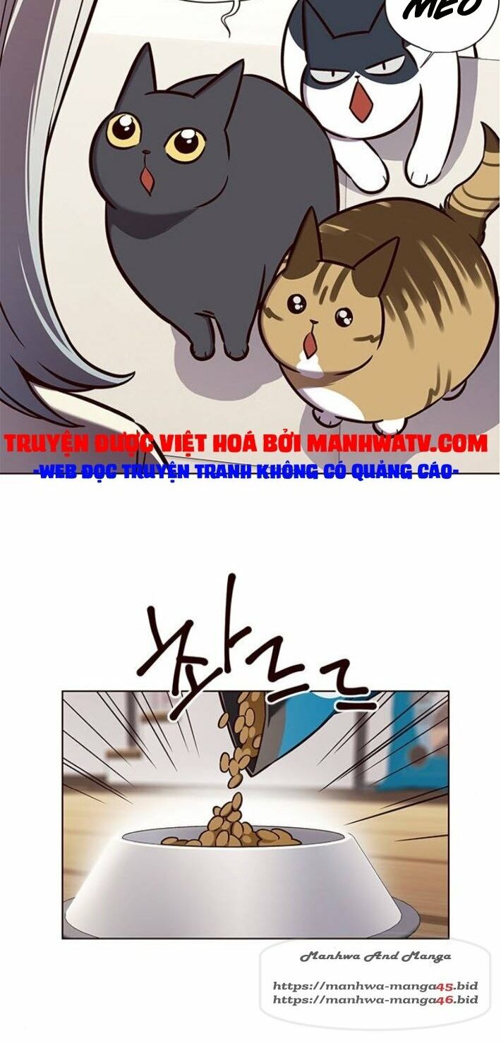 Hoá Thân Thành Mèo: Chapter 141