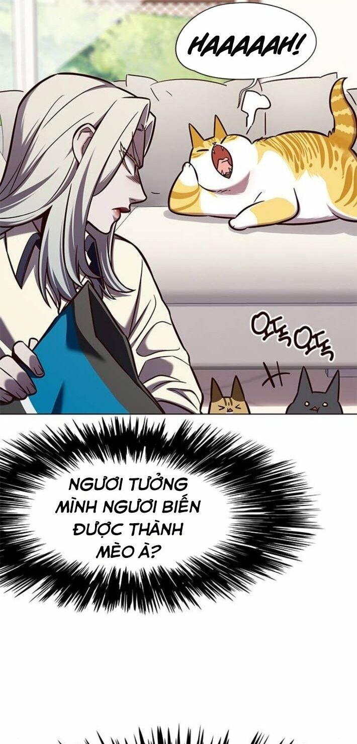 Hoá Thân Thành Mèo: Chapter 141