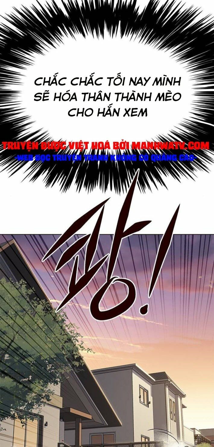 Hoá Thân Thành Mèo: Chapter 141