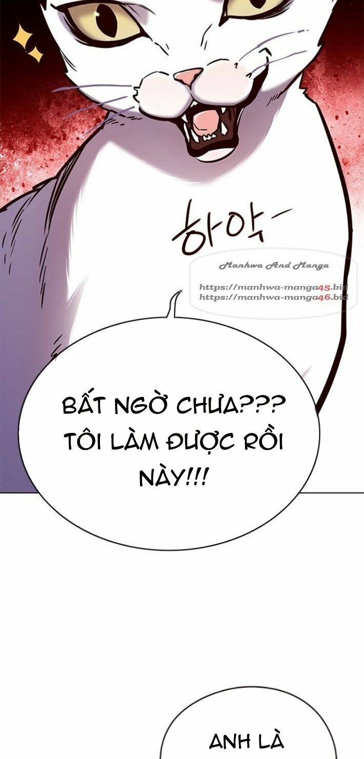 Hoá Thân Thành Mèo: Chapter 141