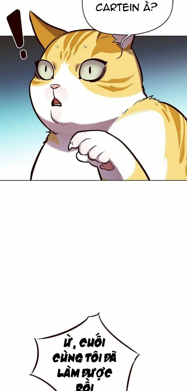 Hoá Thân Thành Mèo: Chapter 141