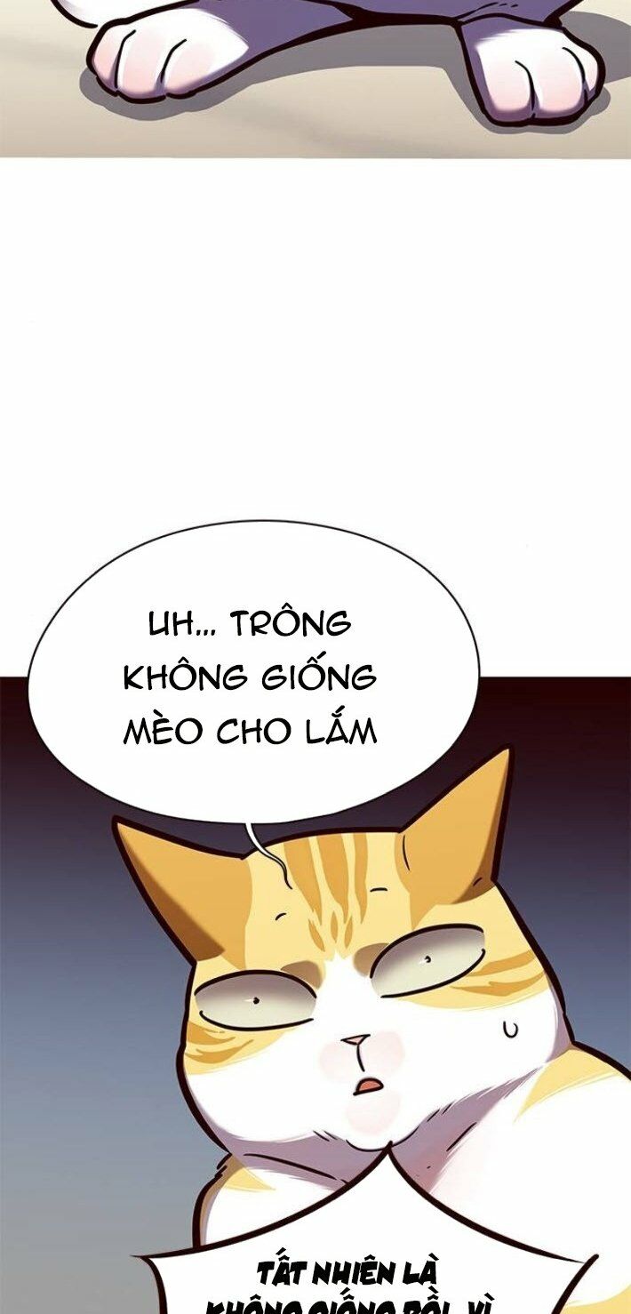 Hoá Thân Thành Mèo: Chapter 141