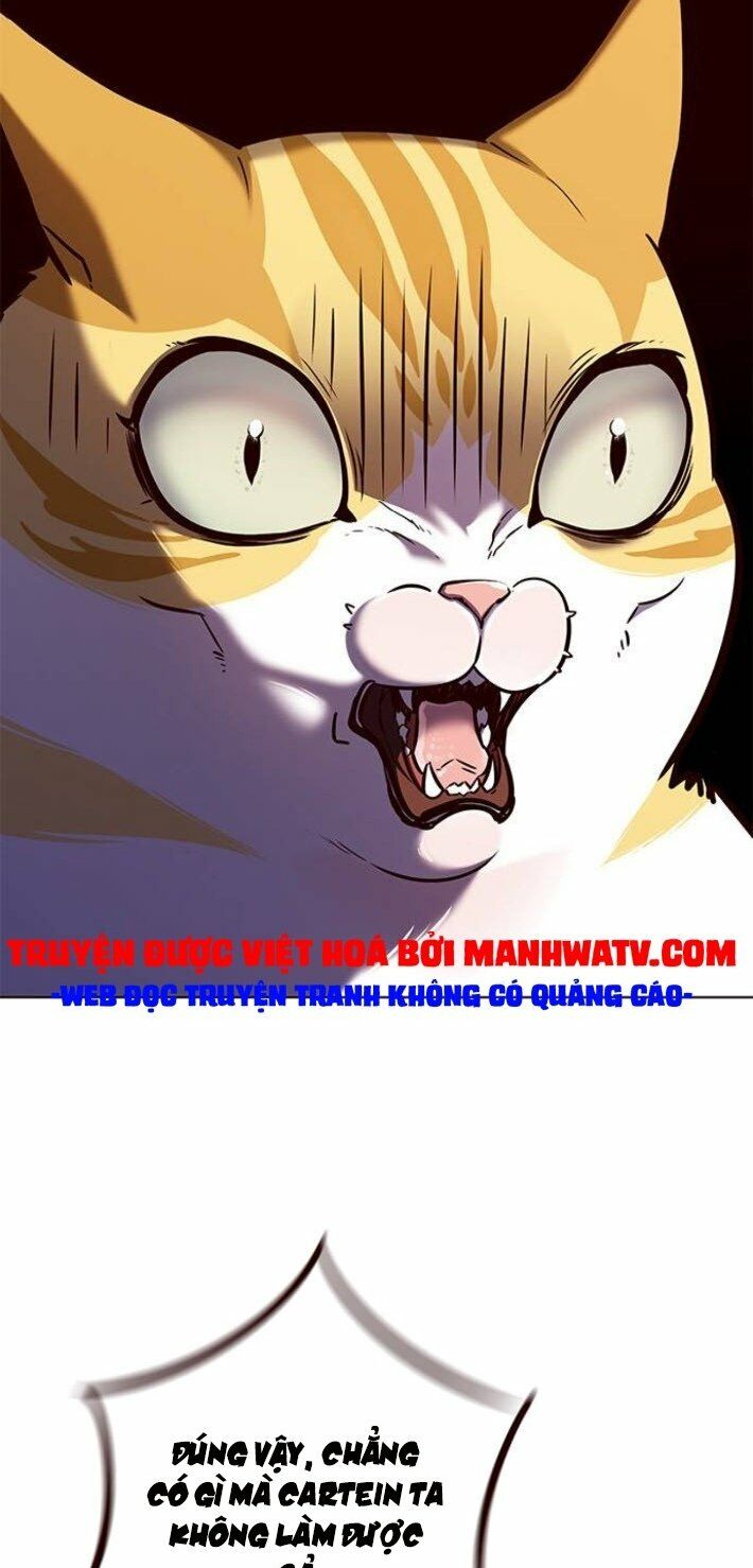 Hoá Thân Thành Mèo: Chapter 141