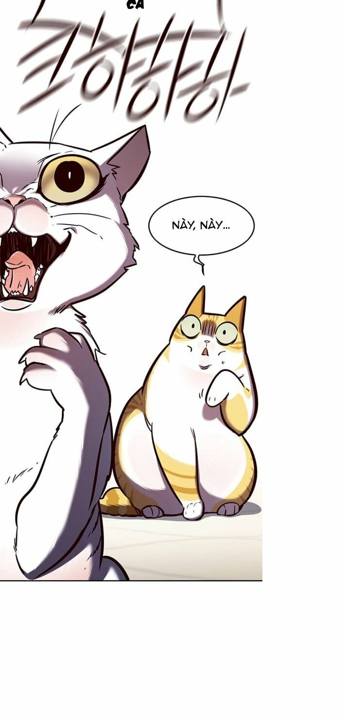 Hoá Thân Thành Mèo: Chapter 141