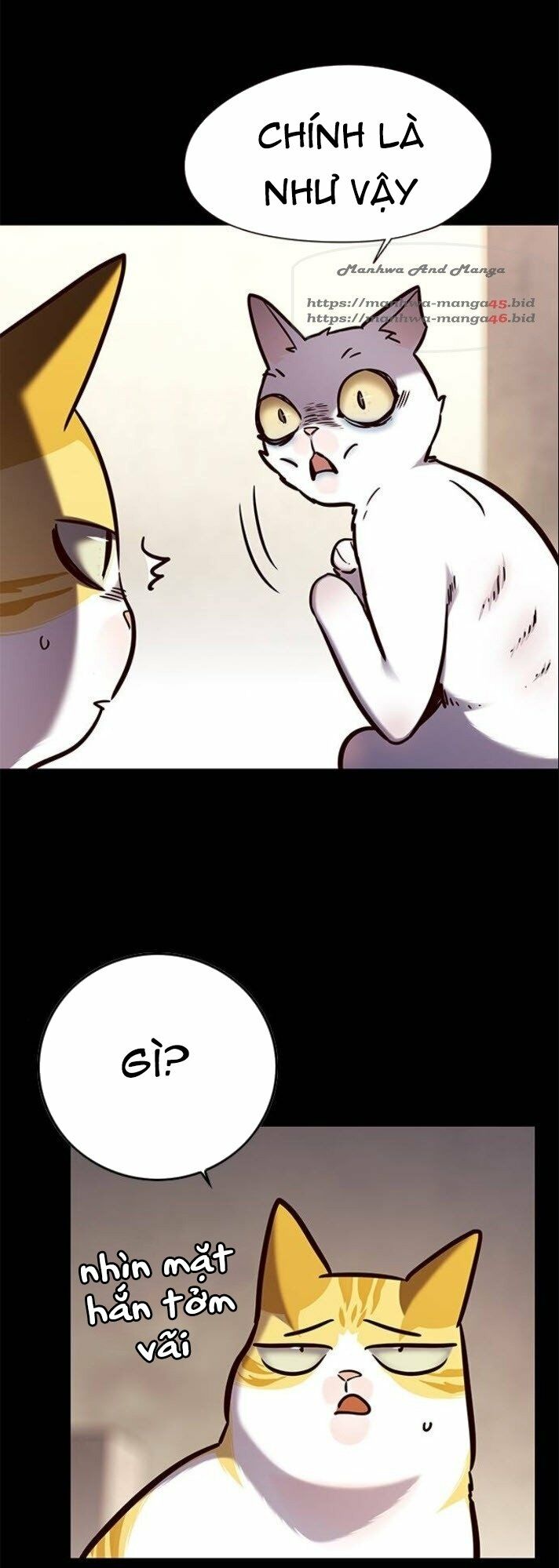 Hoá Thân Thành Mèo: Chapter 142