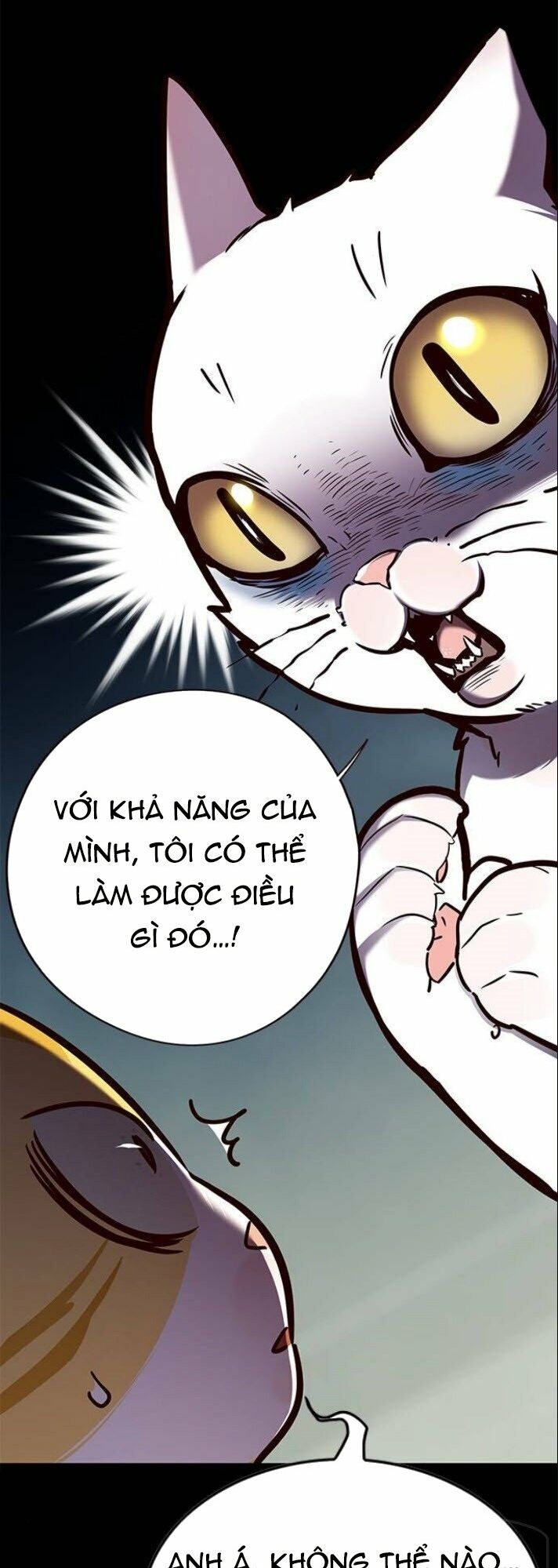 Hoá Thân Thành Mèo: Chapter 142