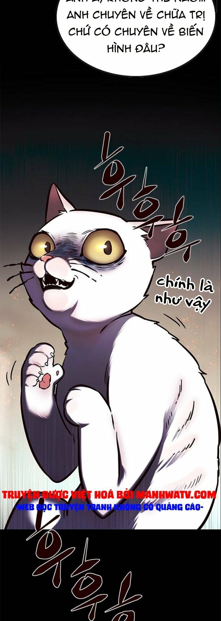 Hoá Thân Thành Mèo: Chapter 142