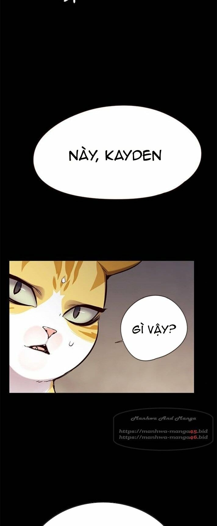 Hoá Thân Thành Mèo: Chapter 142