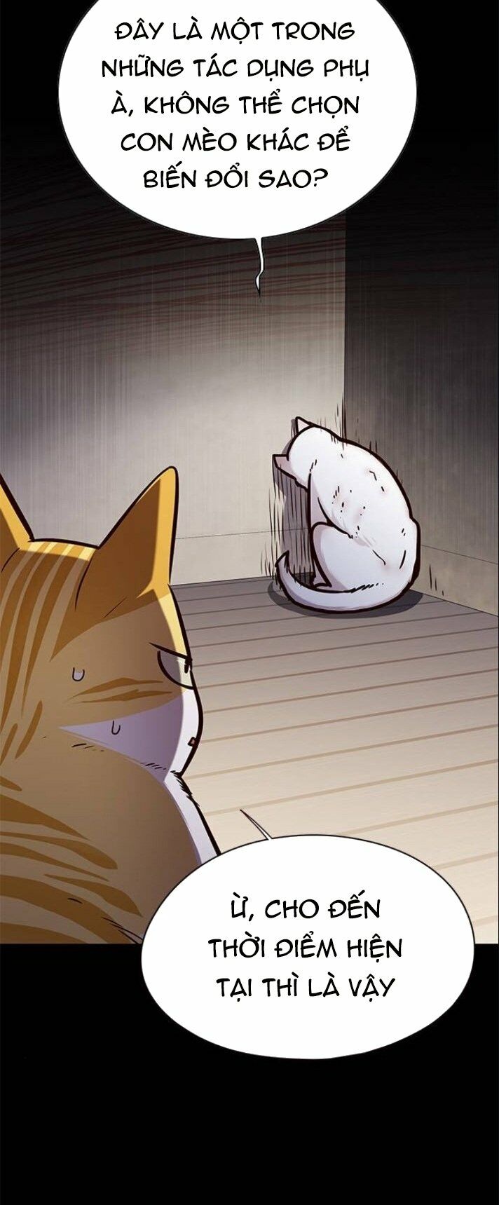 Hoá Thân Thành Mèo: Chapter 142