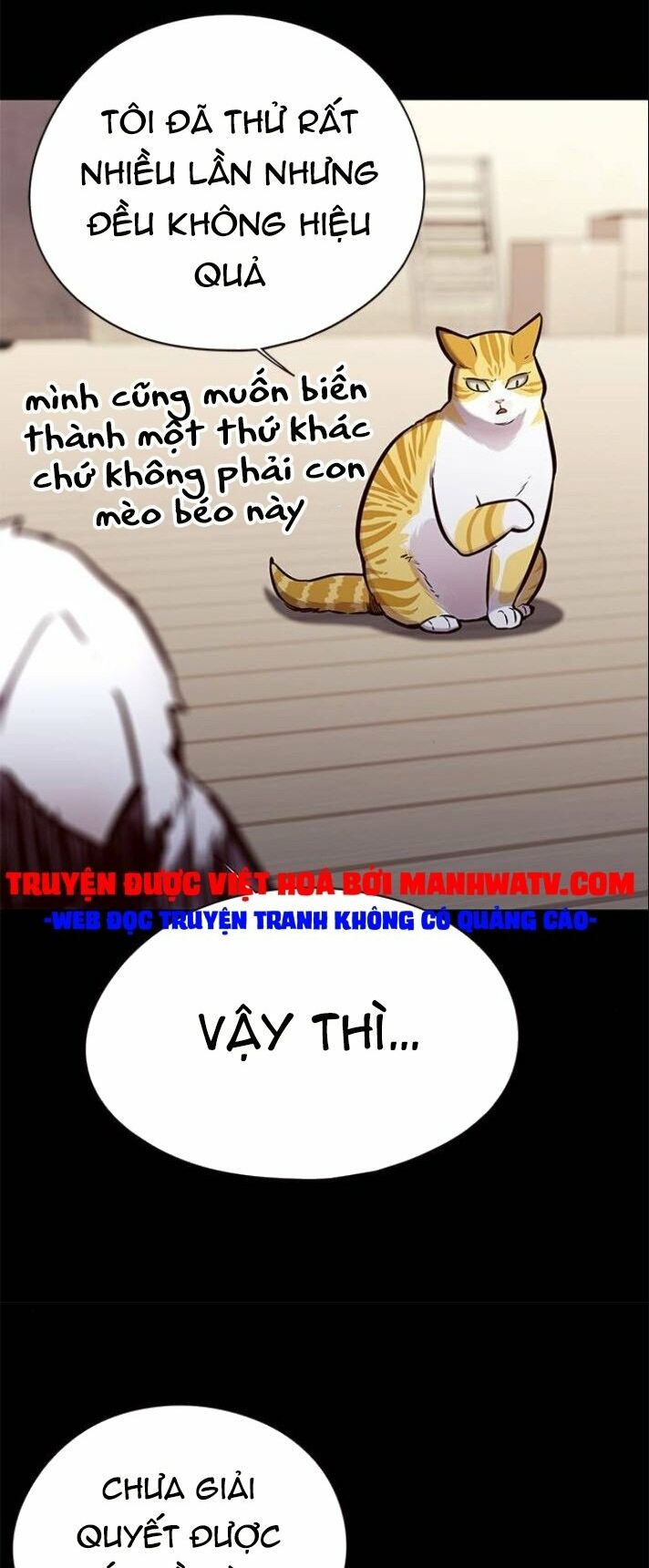 Hoá Thân Thành Mèo: Chapter 142