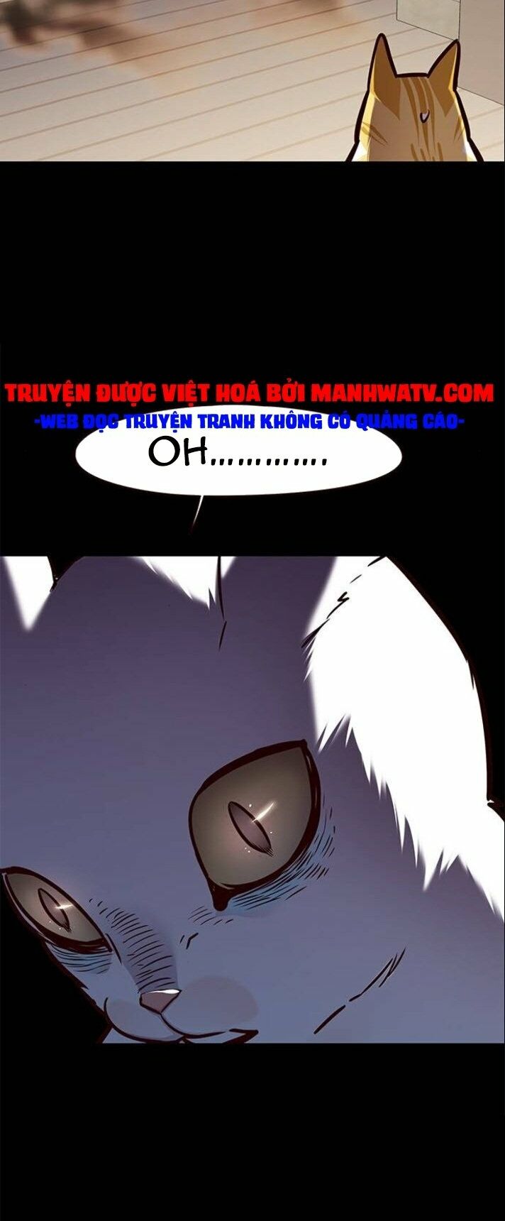Hoá Thân Thành Mèo: Chapter 142