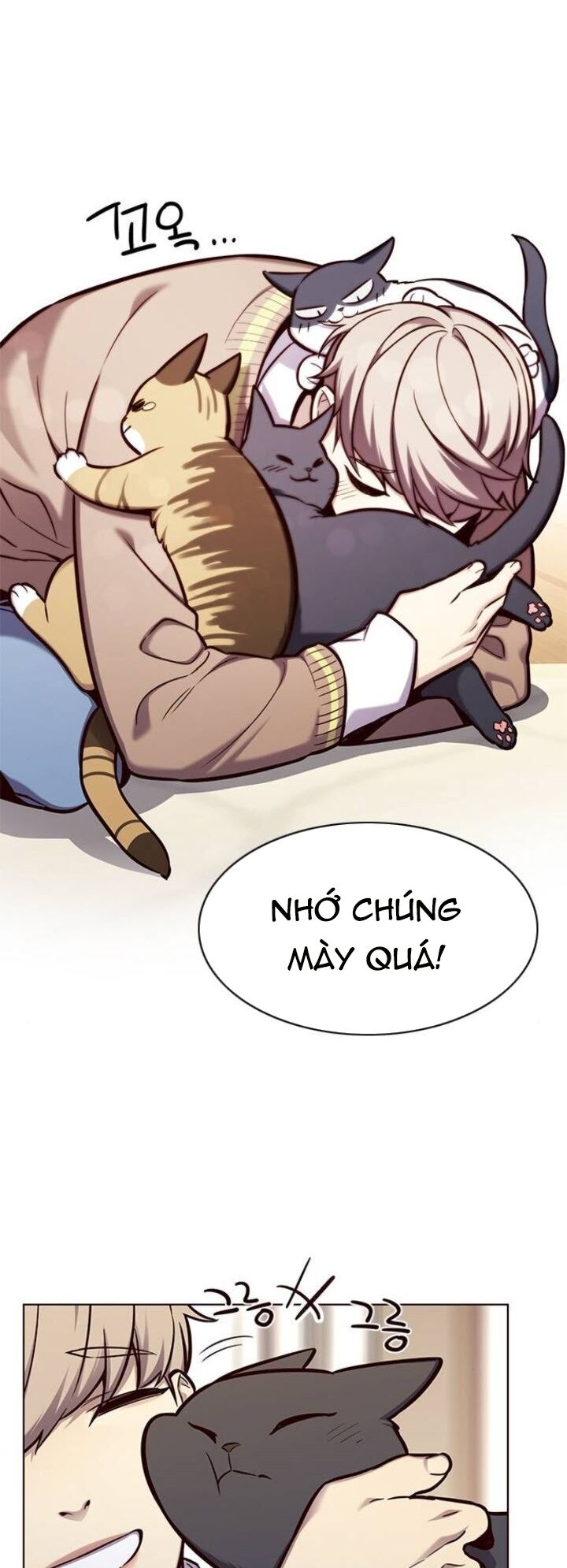 Hoá Thân Thành Mèo: Chapter 143