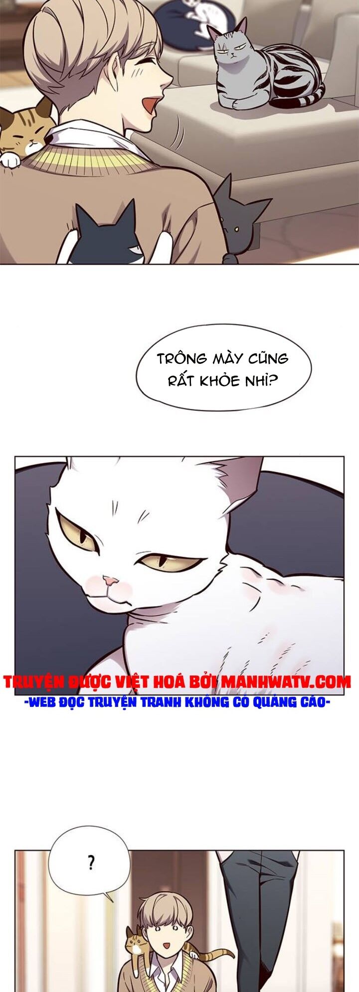 Hoá Thân Thành Mèo: Chapter 143