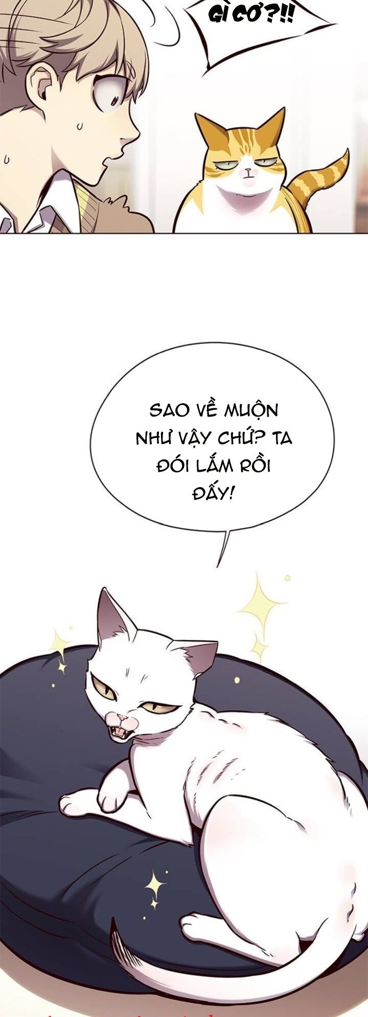 Hoá Thân Thành Mèo: Chapter 143