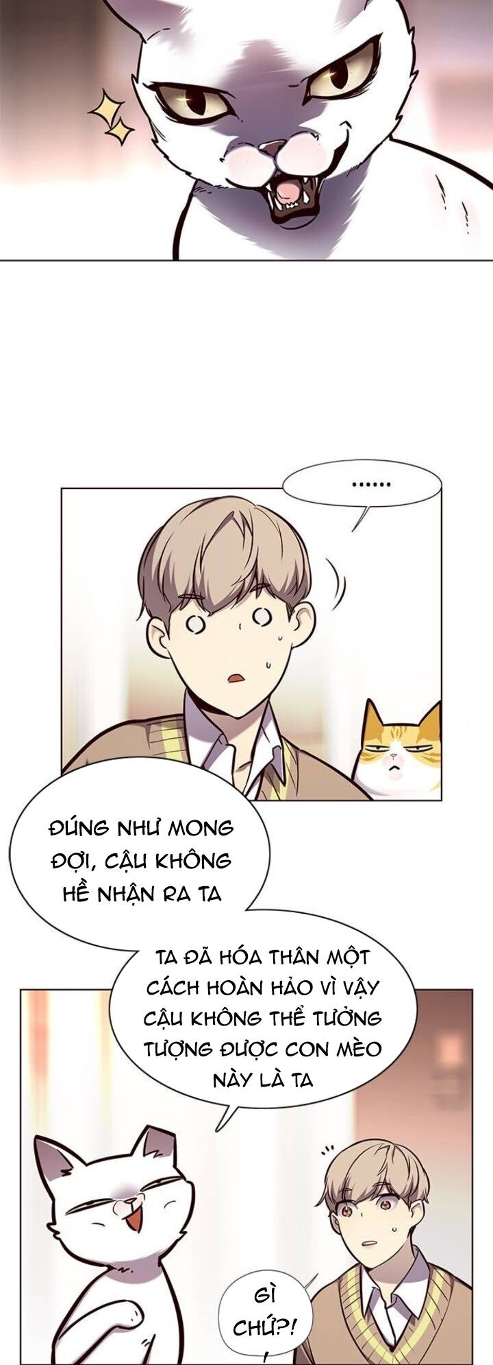 Hoá Thân Thành Mèo: Chapter 143