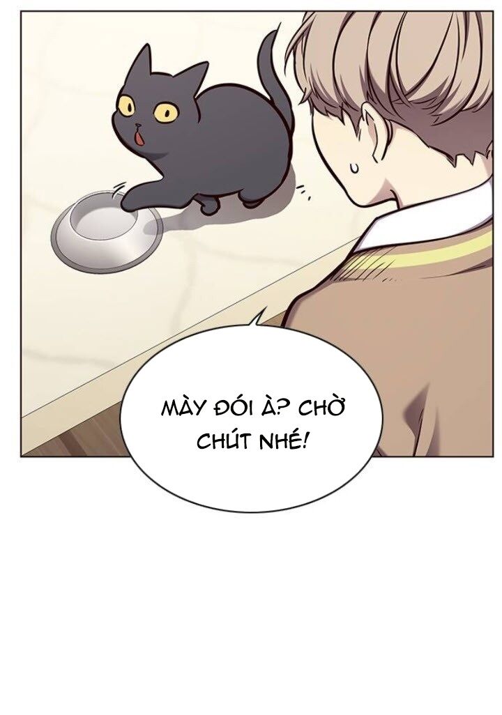 Hoá Thân Thành Mèo: Chapter 143
