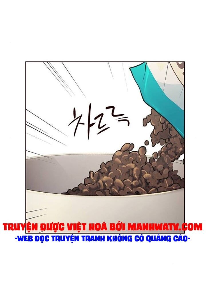 Hoá Thân Thành Mèo: Chapter 143