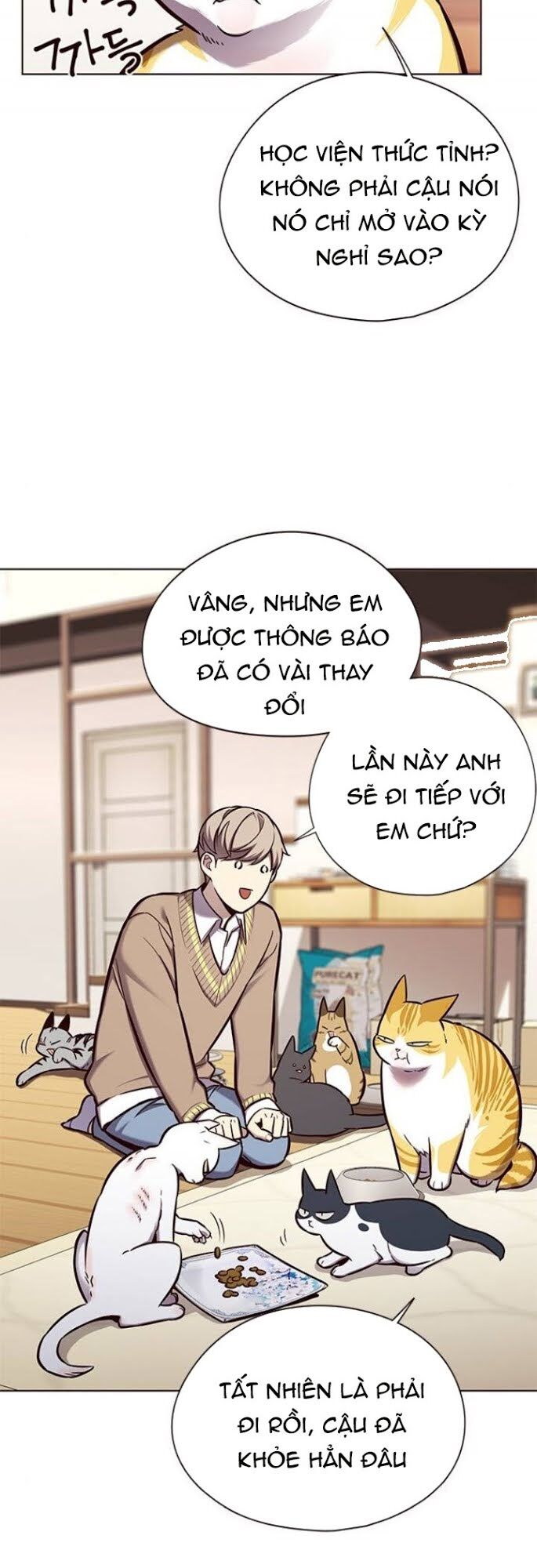 Hoá Thân Thành Mèo: Chapter 143