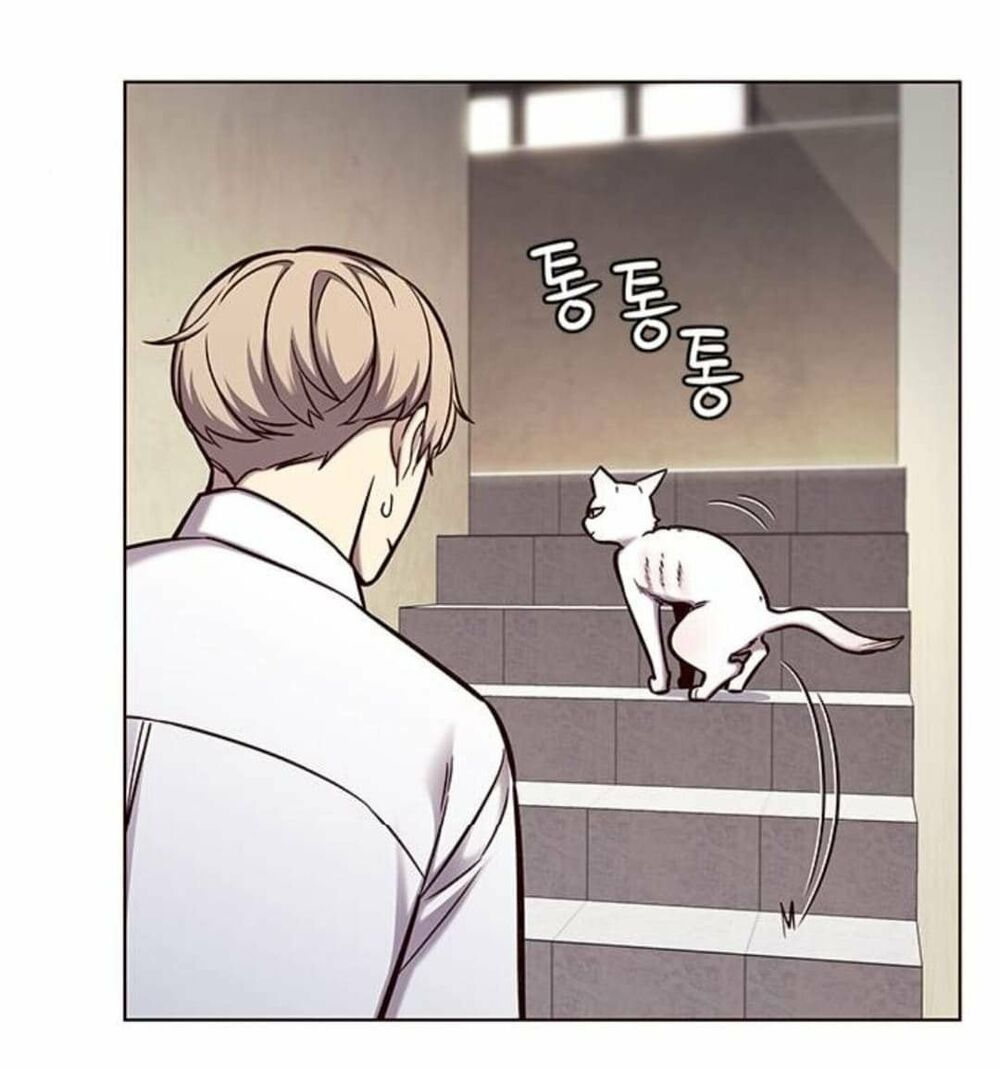 Hoá Thân Thành Mèo: Chapter 144