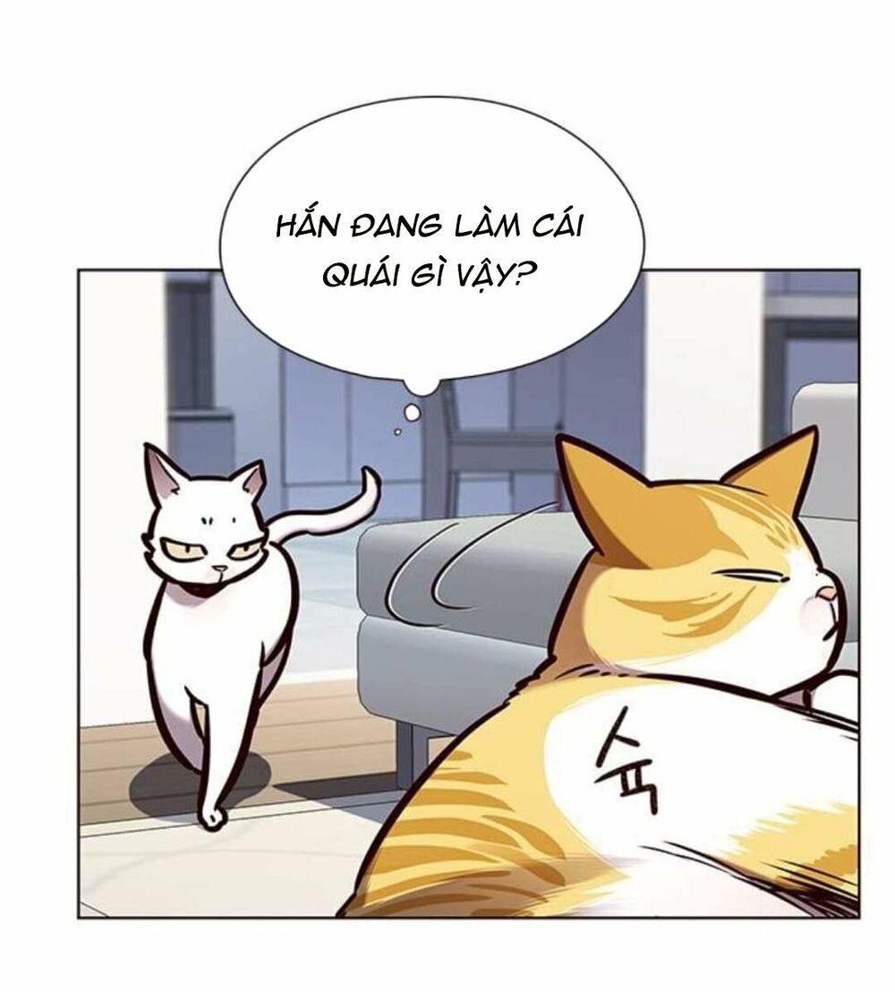 Hoá Thân Thành Mèo: Chapter 144