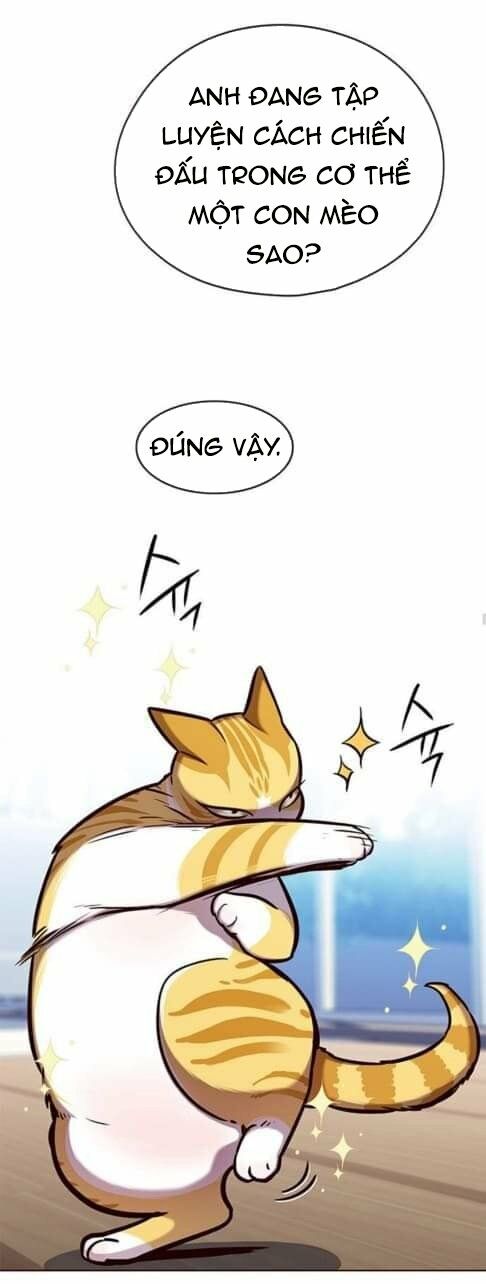 Hoá Thân Thành Mèo: Chapter 144