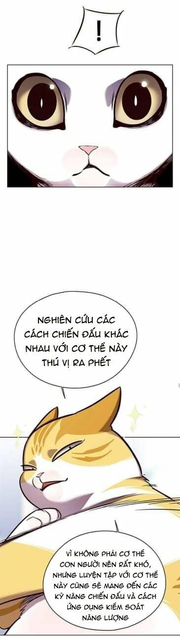Hoá Thân Thành Mèo: Chapter 144