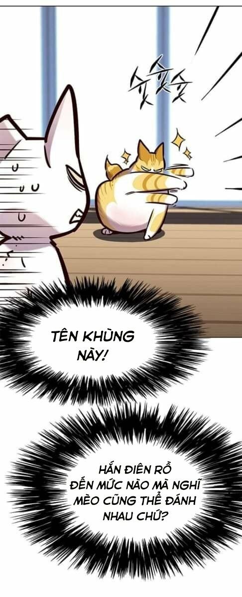 Hoá Thân Thành Mèo: Chapter 144
