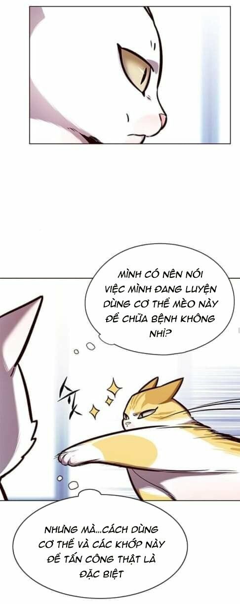 Hoá Thân Thành Mèo: Chapter 144